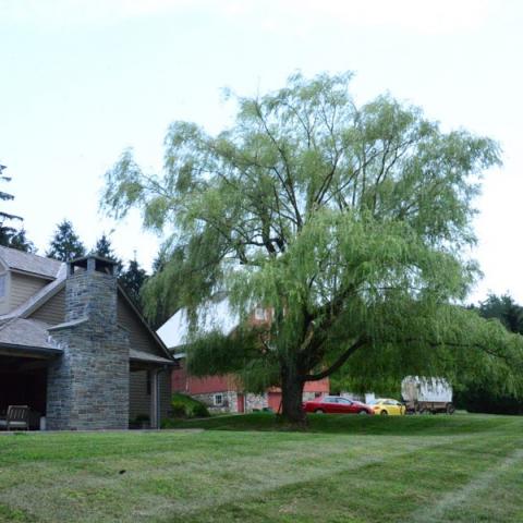 farm, farmhouse, barn, pool, field, fireplace, traditional, deck, patio, 