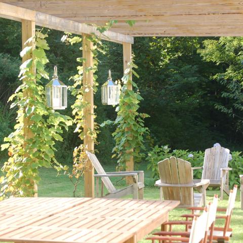 farm, farmhouse, barn, wooded, traditional, contemporary, 