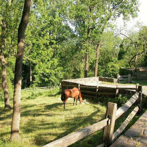 farm, barn, pool, rustic, 