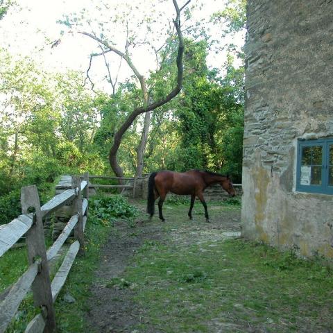 farm, barn, pool, rustic, 