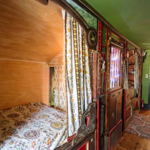 victorian, traditional, white, garden, 