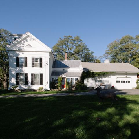 victorian, traditional, white, garden, 