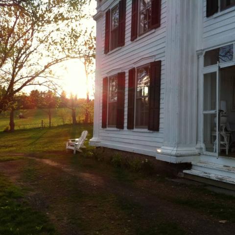 victorian, traditional, white, garden, 