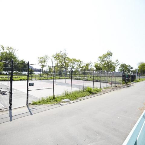 park, 