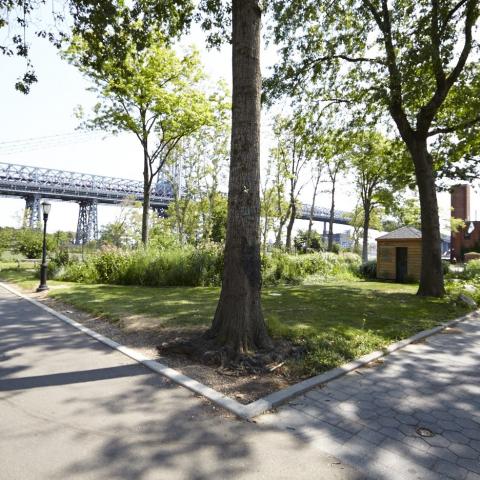 park, 