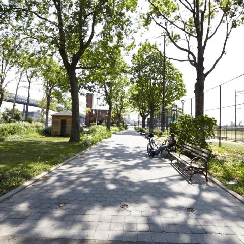 park, 