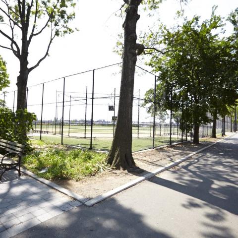 park, 