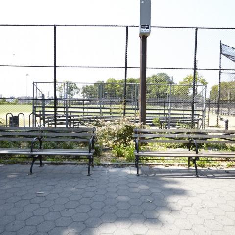 park, 