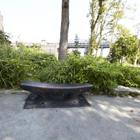 park, 