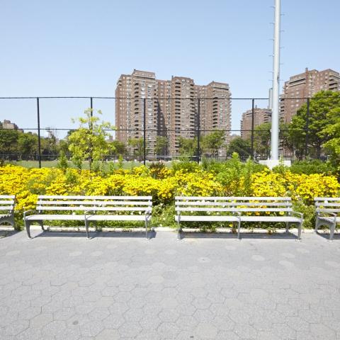 park, 