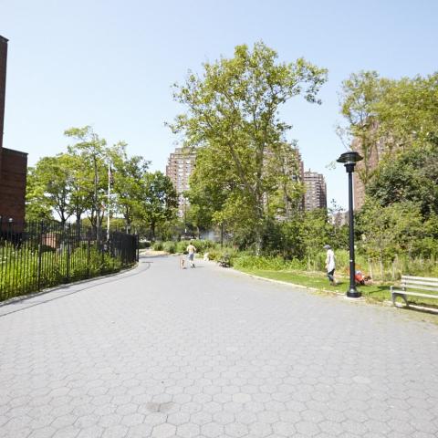 park, 