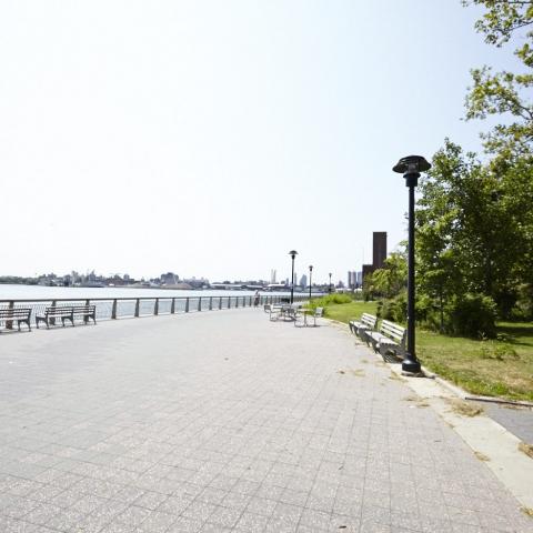 park, 