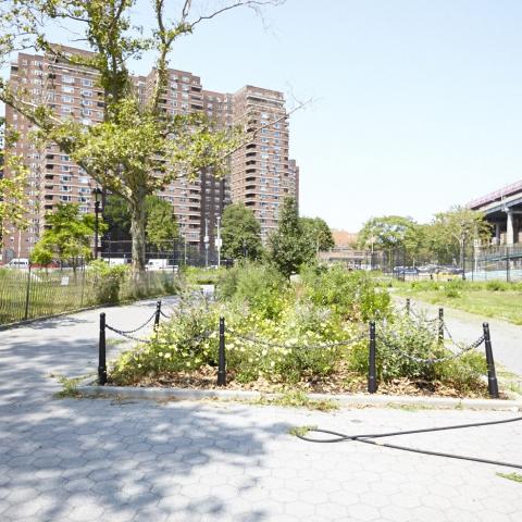 park, 
