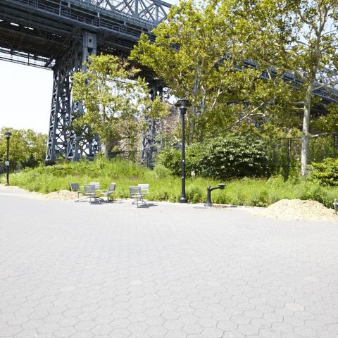 park, 