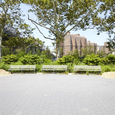 park, 