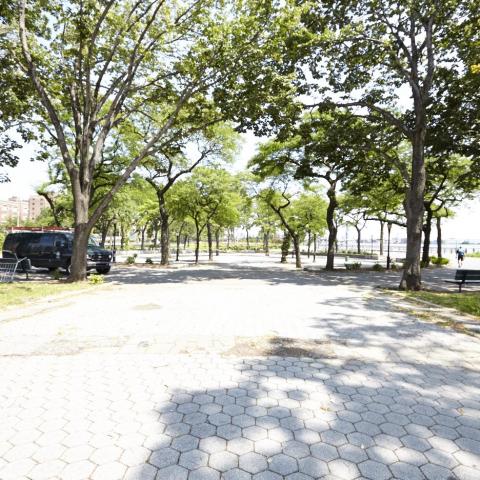 park, 