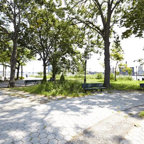 park, 