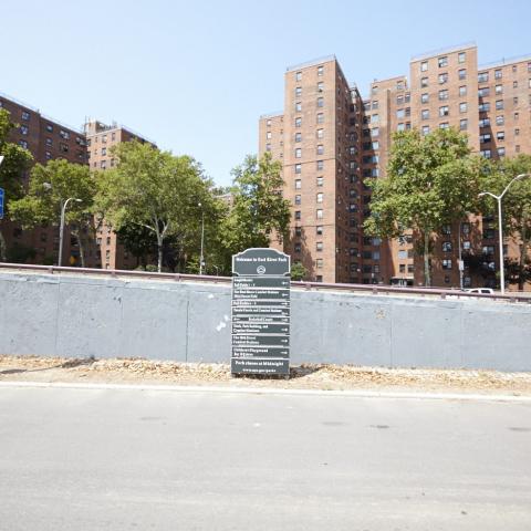 park, 