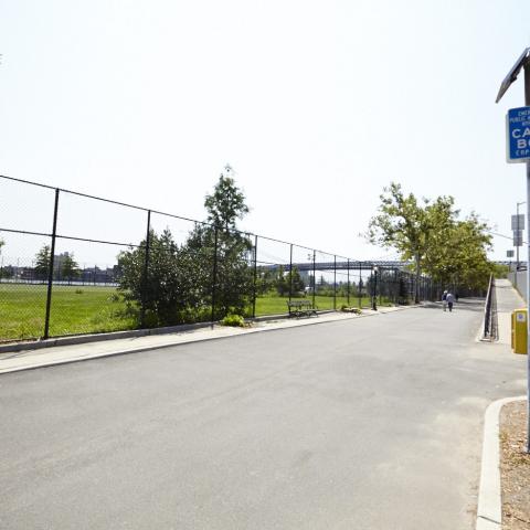 park, 