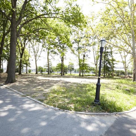 park, 