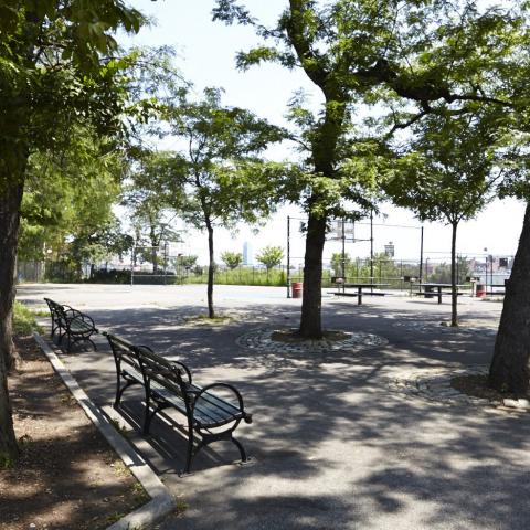 park, 