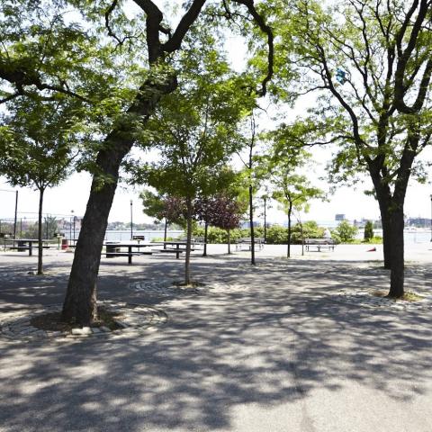 park, 
