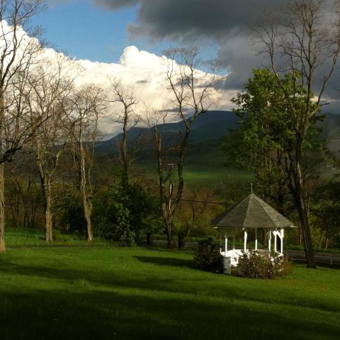 victorian, traditional, white, garden, 