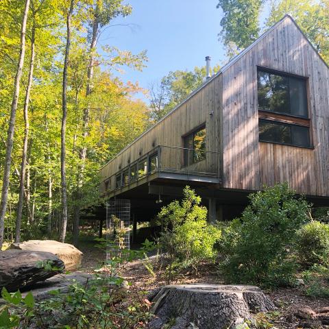 modern, contemporary, wooded, wood, deck, glass, rural, 