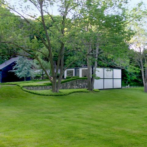 modern, contemporary, minimal, lawn, clean, glass, garden, pool, 