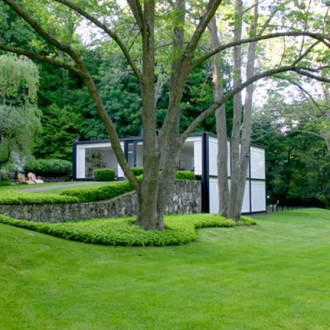 modern, contemporary, minimal, lawn, clean, glass, garden, pool, 