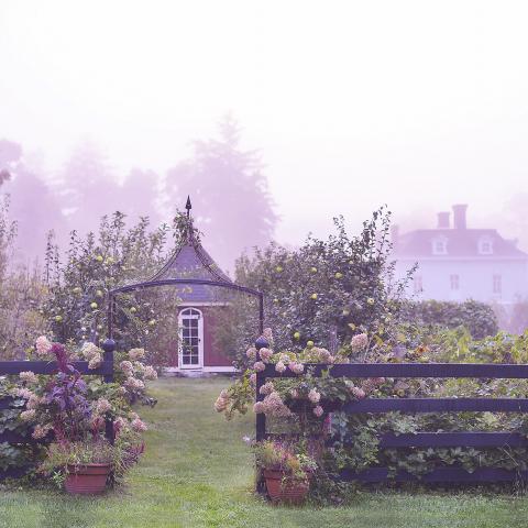 farm, greenhouse, field, rural, country, kitchen, 