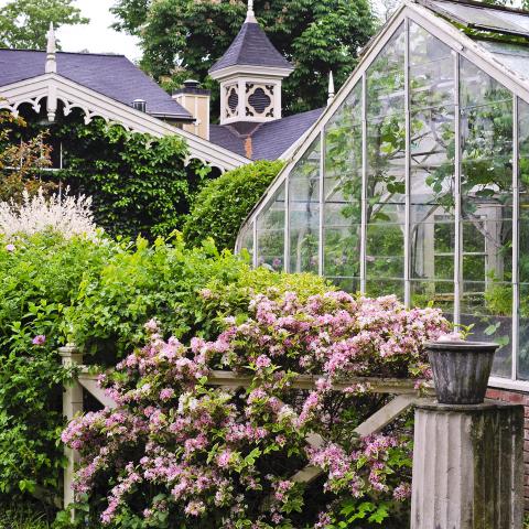 farm, greenhouse, field, rural, country, kitchen, 