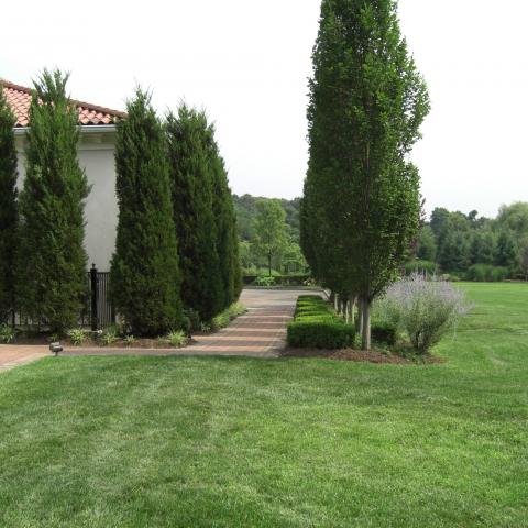 mansion, estate, pool, upscale, opulent, 