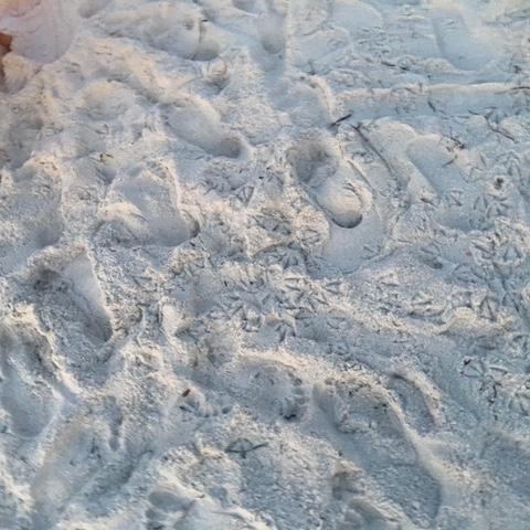 deck, beach, funky, dock, water, bohemian, 