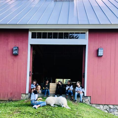 farm, farmhouse, barn, pool, field, fireplace, traditional, deck, patio, 