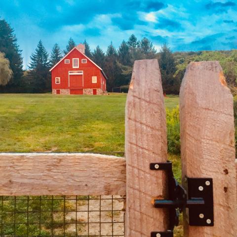 rural, farm, barn, pool, rustic, field, kitchen, 