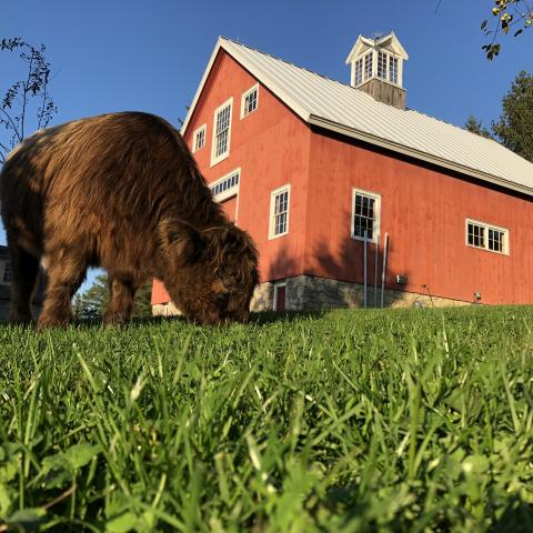 farm, farmhouse, barn, pool, field, fireplace, traditional, deck, patio, 