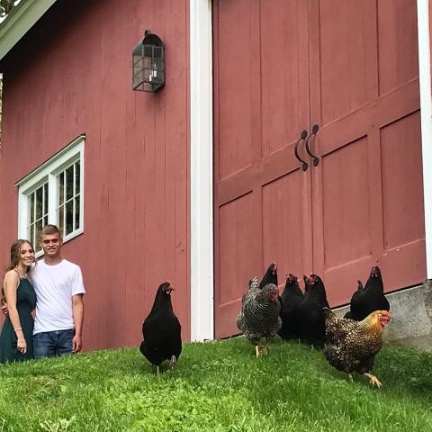 farm, farmhouse, barn, pool, field, fireplace, traditional, deck, patio, 