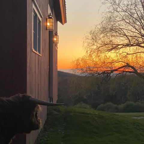 farm, farmhouse, barn, pool, field, fireplace, traditional, deck, patio, 