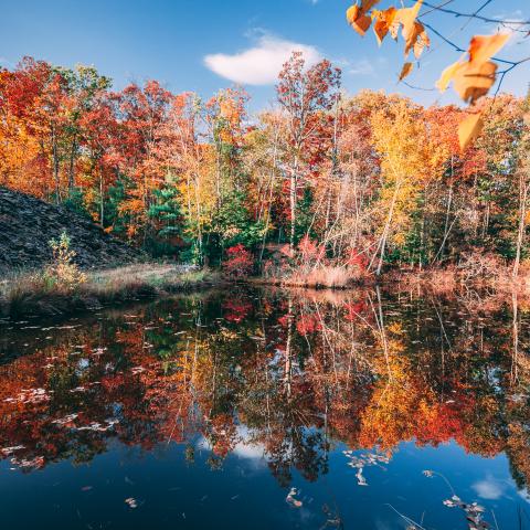 cabin, barn, lake, water, rural, country, wooded, deck, 