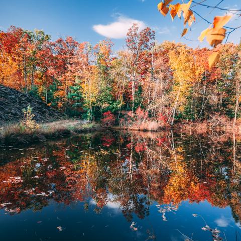 cabin, barn, lake, water, rural, country, wooded, deck, 