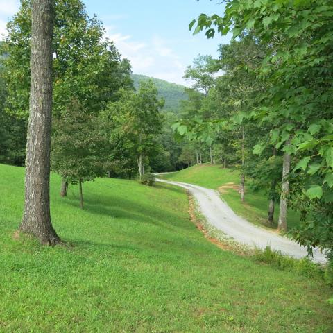 rural, wooded, porch, kitchen, bathroom, 