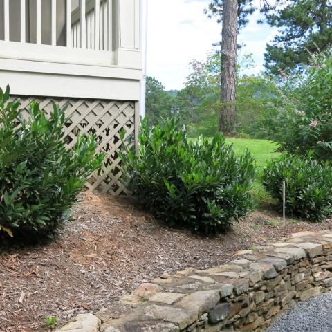 rural, wooded, porch, kitchen, bathroom, 