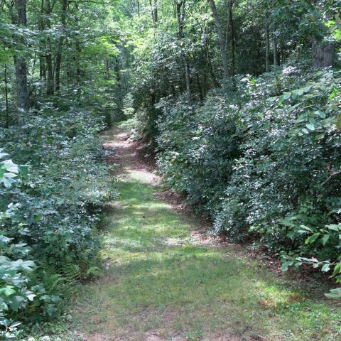 rural, wooded, porch, kitchen, bathroom, 