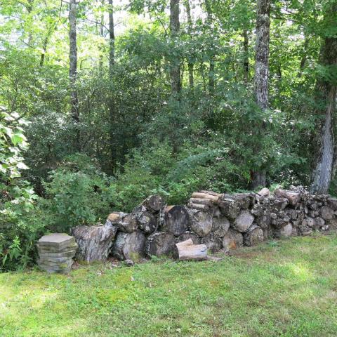 rural, wooded, porch, kitchen, bathroom, 