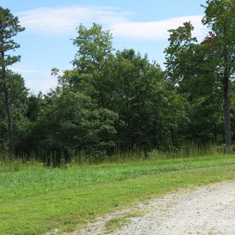 rural, wooded, porch, kitchen, bathroom, 