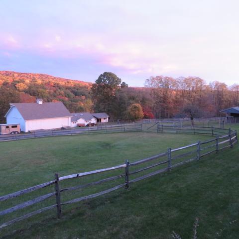 farm, field, barn, 