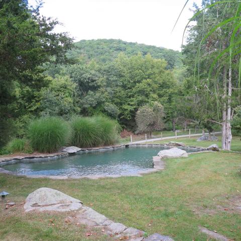 country, rustic, garden, pool, 