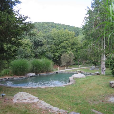 country, rustic, garden, pool, 