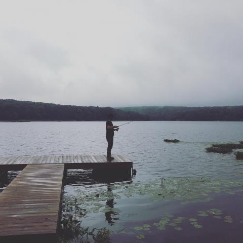 cabin, wooded, lake, water, rural, country, 